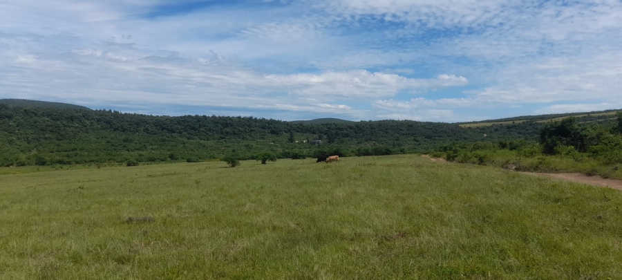Commercial Property for Sale in Komga Rural Eastern Cape